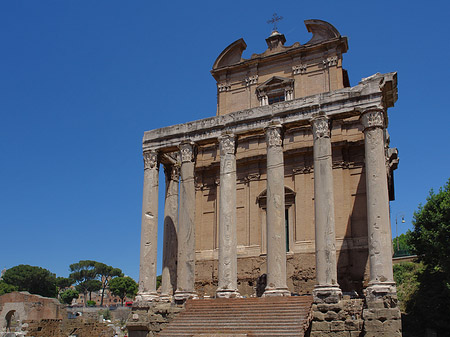 Tempel des Antoninus Pius und der Faustina - Latium (Rom) (Rom)