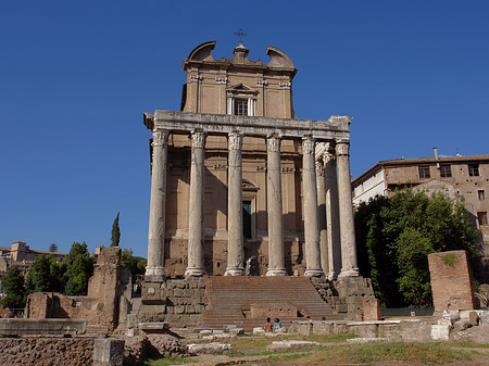 Tempel des Antoninus Pius und der Faustina - Latium (Rom) (Rom)