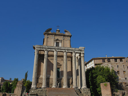 Tempel des Antoninus Pius und der Faustina - Latium (Rom) (Rom)