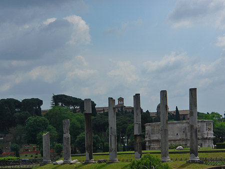 Säulen vor dem Tempel der Venus - Latium (Rom) (Rom)