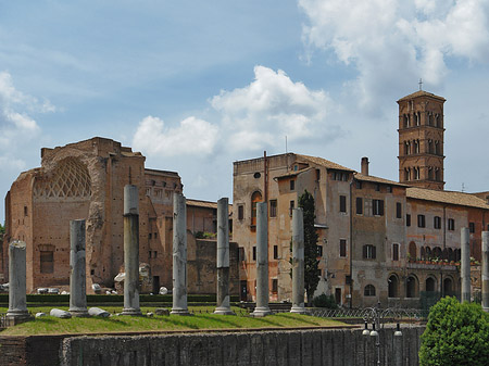 Tempel der Venus - Latium (Rom) (Rom)