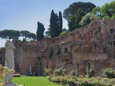 Tempel der Vesta - Latium (Rom) (Rom)