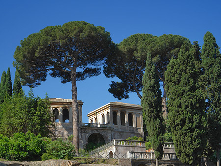 Tempel der Vesta - Latium (Rom) (Rom)