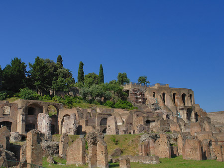 Tempel der Vesta - Latium (Rom) (Rom)