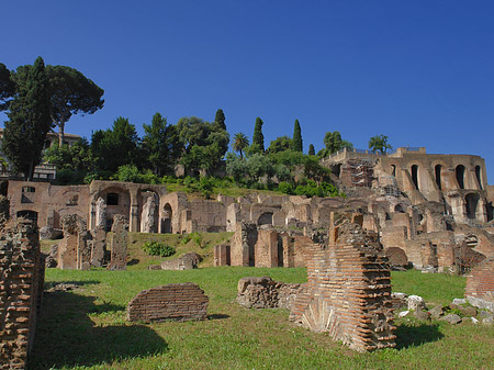 Tempel der Vesta - Latium (Rom) (Rom)