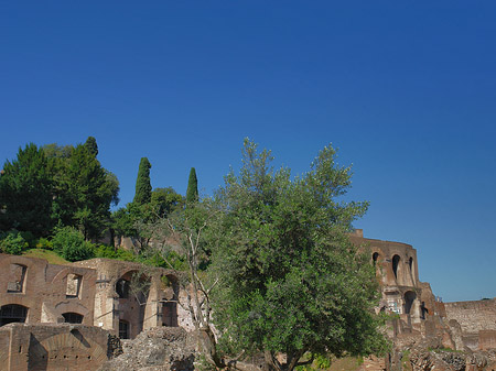 Foto Tempel der Vesta - Rom