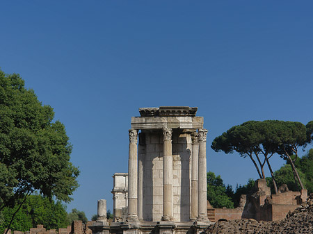 Tempel der Vesta - Latium (Rom) (Rom)