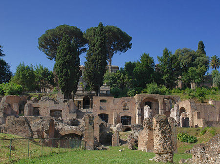 Tempel der Vesta - Latium (Rom) (Rom)