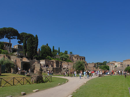 Weg ins Forum Romanum - Latium (Rom) (Rom)