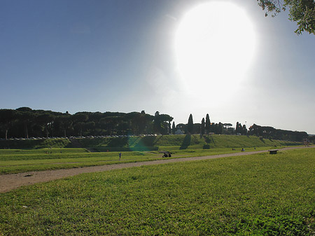 Circus Maximus - Latium (Rom) (Rom)