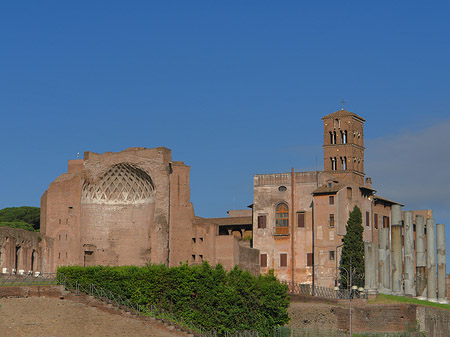 Foto Tempel der Venus - Rom