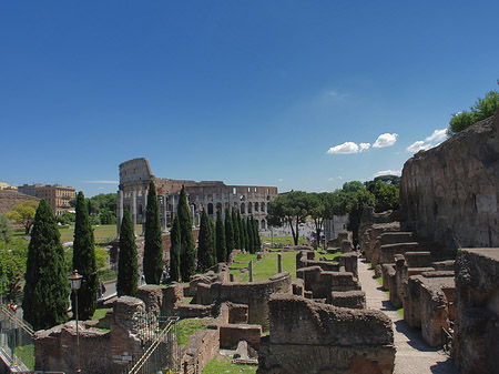 Kolosseum mit dem Forum Romanum - Latium (Rom) (Rom)