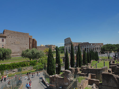 Kolosseum mit dem Forum Romanum - Latium (Rom) (Rom)