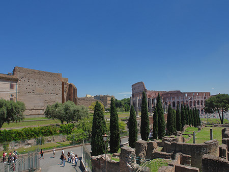 Kolosseum mit dem Forum Romanum - Latium (Rom) (Rom)