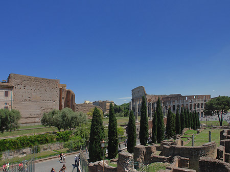 Kolosseum mit dem Forum Romanum - Latium (Rom) (Rom)