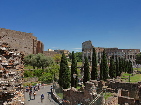 Kolosseum mit dem Forum Romanum - Latium (Rom) (Rom)