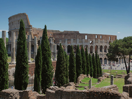 Kolosseum mit dem Forum Romanum - Latium (Rom) (Rom)