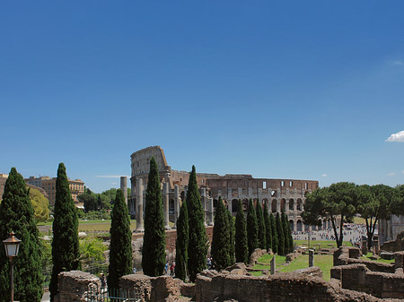 Kolosseum mit dem Forum Romanum - Latium (Rom) (Rom)