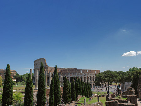 Kolosseum mit dem Forum Romanum - Latium (Rom) (Rom)