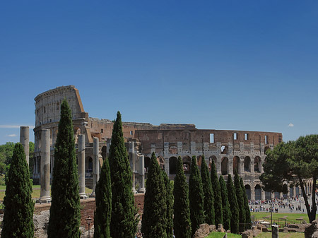 Kolosseum mit dem Forum Romanum - Latium (Rom) (Rom)