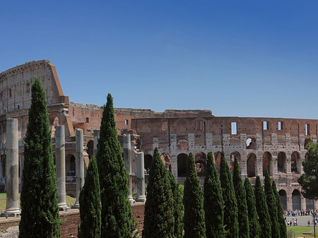 Kolosseum mit dem Forum Romanum - Latium (Rom) (Rom)