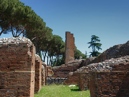 Ruinen am Apollo Tempel - Latium (Rom) (Rom)