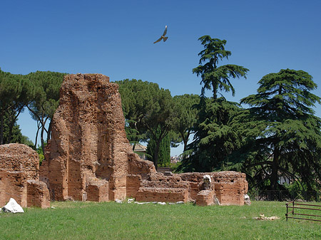 Ruinen am Apollo Tempel - Latium (Rom) (Rom)