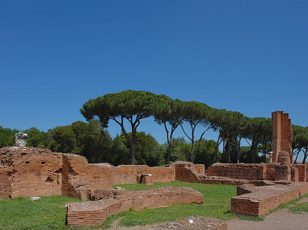 Ruinen am Apollo Tempel - Latium (Rom) (Rom)