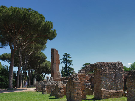 Ruinen am Apollo Tempel - Latium (Rom) (Rom)