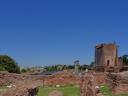 Ruinen mit Apollo Tempel - Latium (Rom) (Rom)