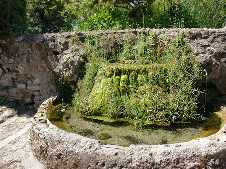 Brunnen am Palatin - Latium (Rom) (Rom)