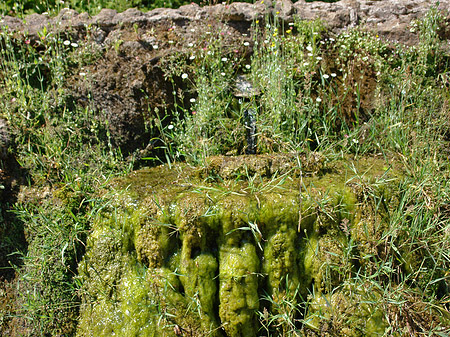 Brunnen am Palatin - Latium (Rom) (Rom)