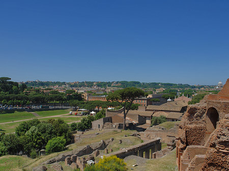 Foto Circus Maximus - Rom