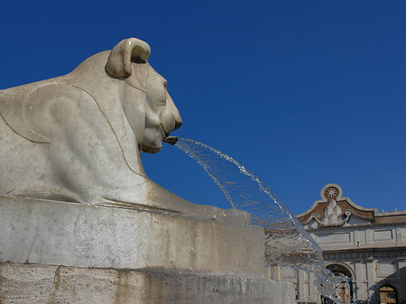 Foto Löwenbrunnen