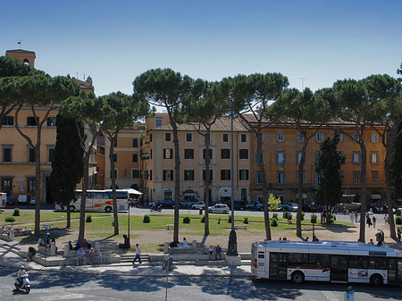 Busse auf der Piazza - Latium (Rom) (Rom)