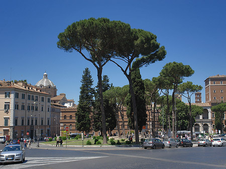 Verkehr an der Piazza Venezia - Latium (Rom) (Rom)