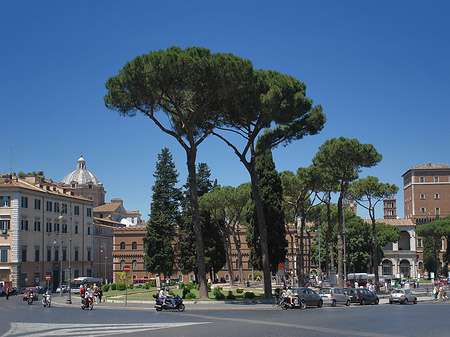 Verkehr an der Piazza Venezia - Latium (Rom) (Rom)