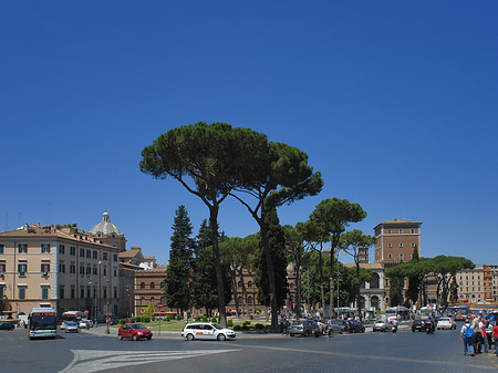 Verkehr an der Piazza Venezia - Latium (Rom) (Rom)