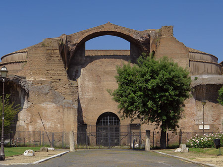 Santa Maria degli Angeli Foto 