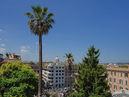 Foto Palme an der Spanischen Treppe