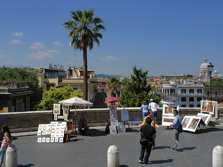 Palme an der Spanischen Treppe - Latium (Rom) (Rom)