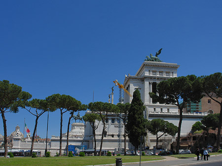 Bäume vor dem Monument - Latium (Rom) (Rom)