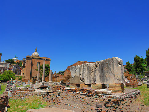 Fotos Basilica Aemilia | Rom