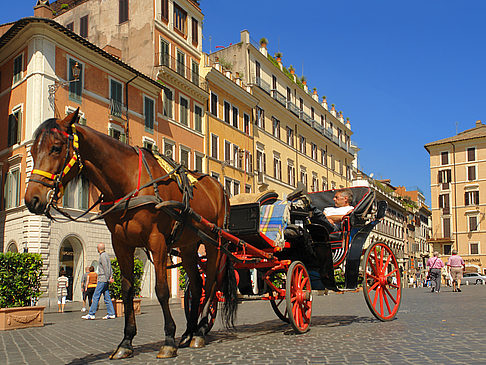 Foto Pferdekutsche auf der Piazza die Spagna