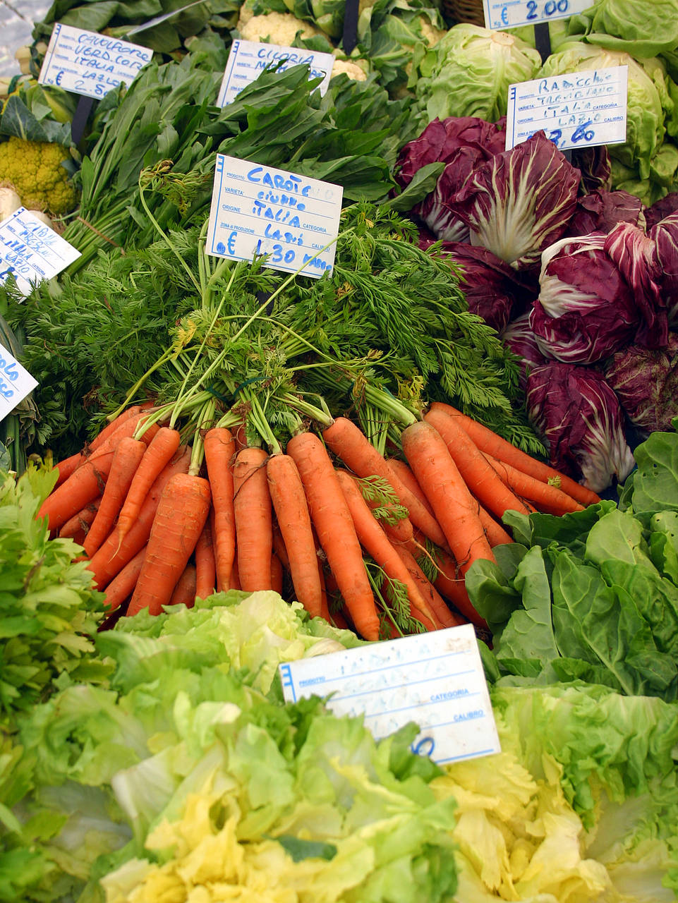 Campo de’ Fiori  Fotos