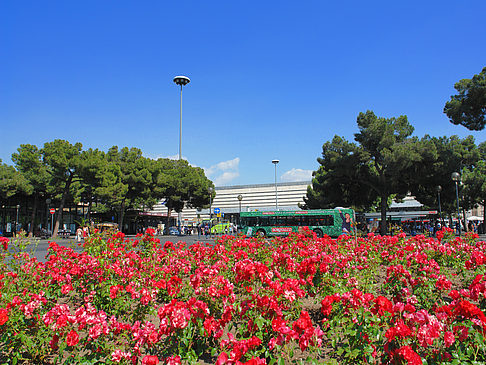 Blumen am Bahnhof